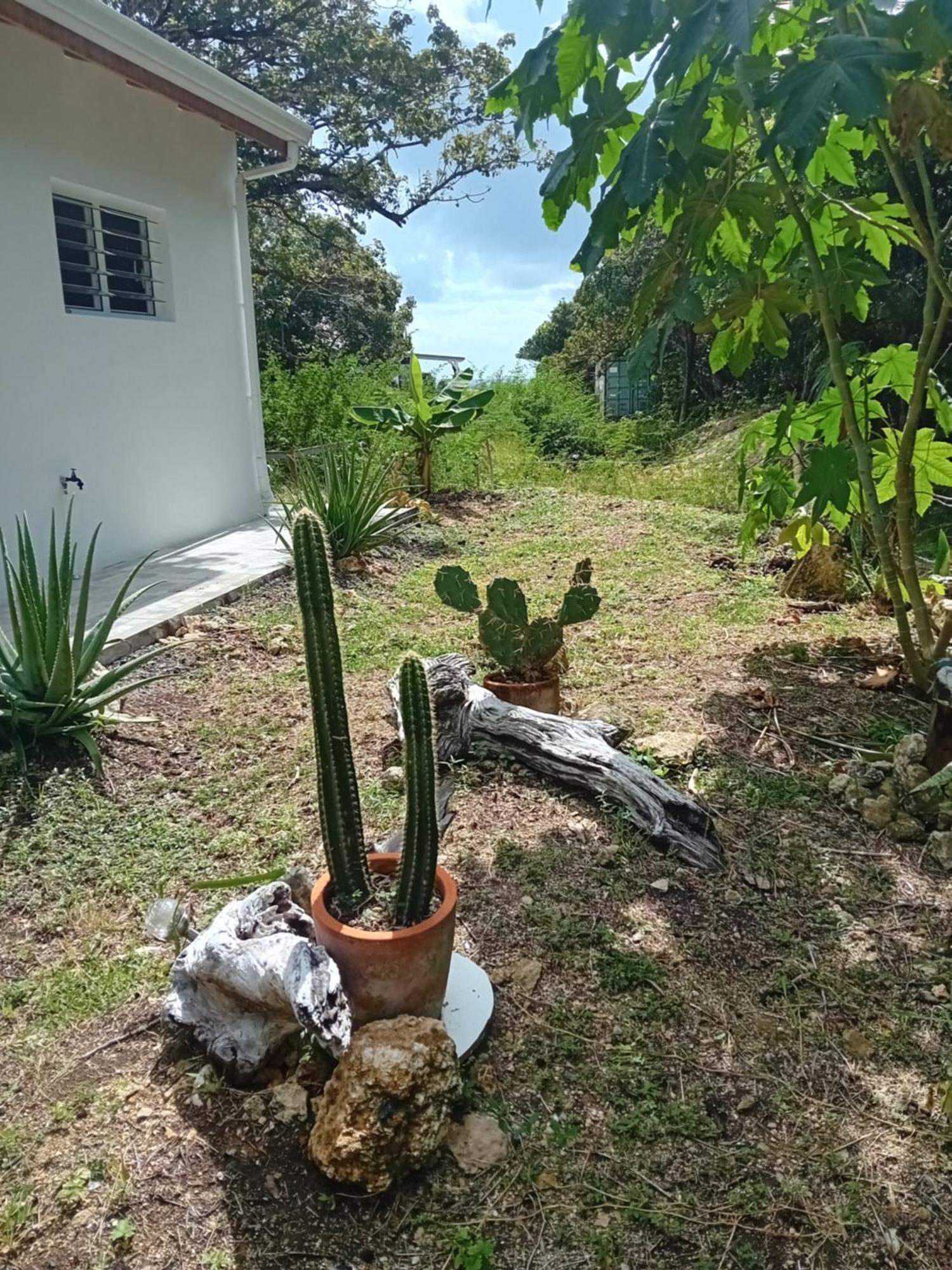 Kazacactus-Villa 3 Chambres Piscine Marie-Galante Beauséjour Extérieur photo